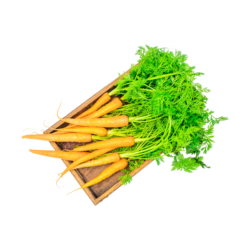 Carottes fanes
