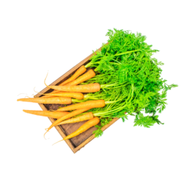Carottes fanes