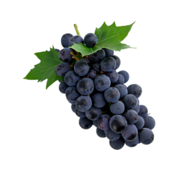 Raisin rouge