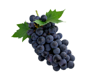 Raisin rouge