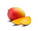 Mangue