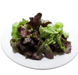 Salade à tondre