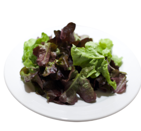Salade à tondre