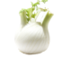 Fenouil