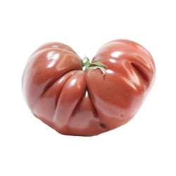 Tomate noir de crimée