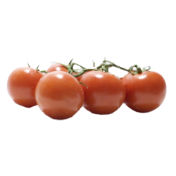 Tomate cherry grappe