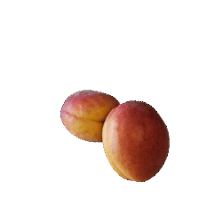 Abricots