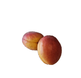 Abricots