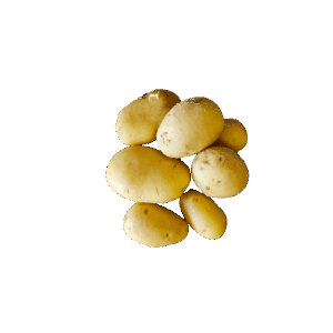 Galerie d'images