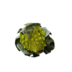 Chou romanesco