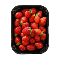 Fraise Mara des bois