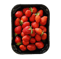 Fraise Mara des bois