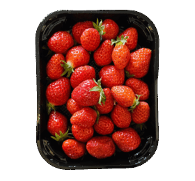 Fraise Mara des bois