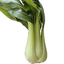 Pakchoï